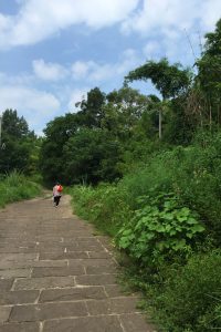 20160810-luojiang-1