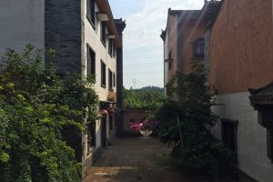 20160810-luojiang-5