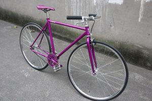 20161102-purple-10