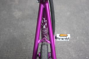20161102-purple-2