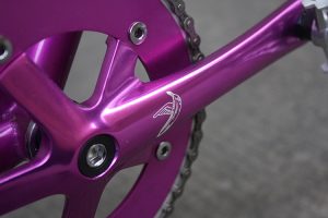 20161102-purple-3