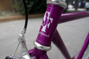 20161102-purple-6