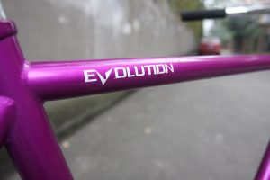 20161102-purple-8
