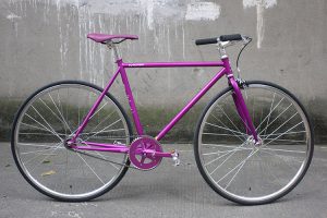 20161102-purple-9