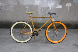 20161108-leopard-bike-1