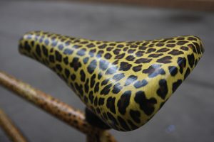 20161108-leopard-bike-2