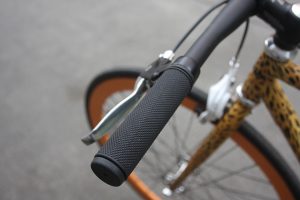 20161108-leopard-bike-3