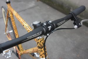 20161108-leopard-bike-4