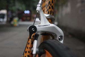 20161108-leopard-bike-5
