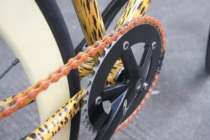 20161108-leopard-bike-9