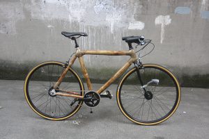 bamboo-1