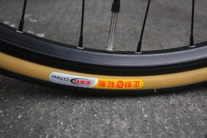 bamboo-10