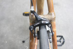 bamboo-3
