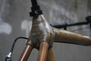bamboo-6