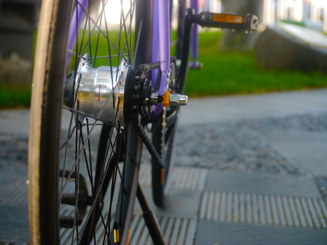 WEBPURPback