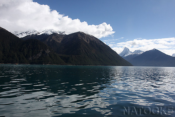 landscape-4