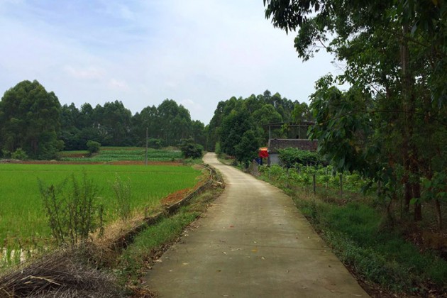 20160601-ziyang-5