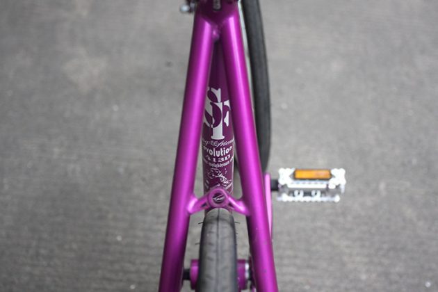 20161102-purple-2