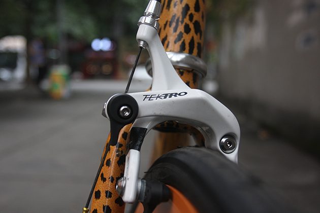 20161108-leopard-bike-5
