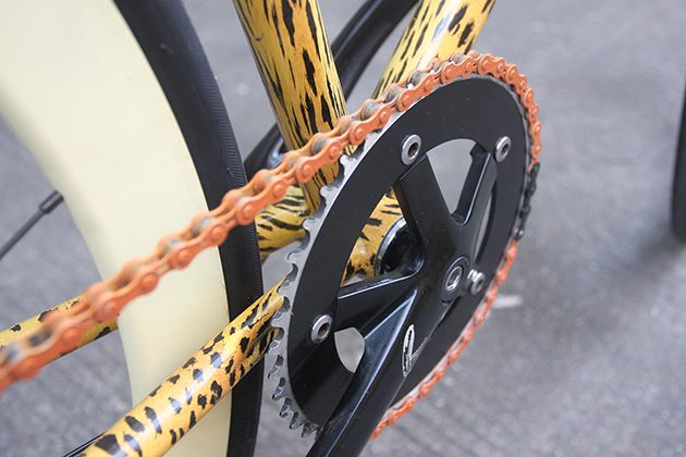 20161108-leopard-bike-9
