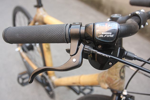 bamboo-bike-3