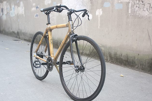 bamboo-bike-9