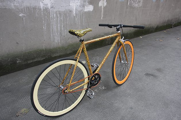 20161108-leopard-bike-10