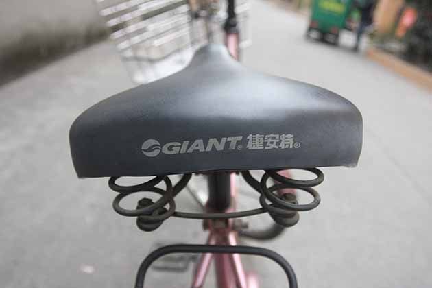 giant-2