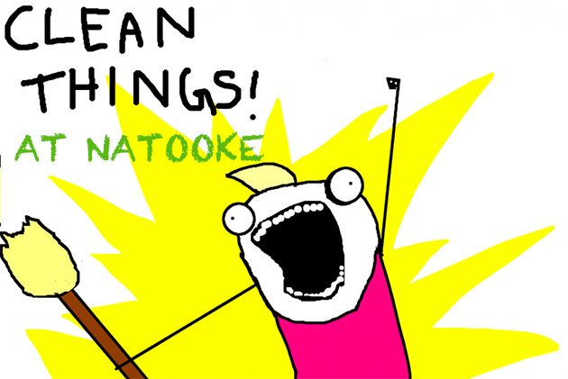 clean-all-the-things-1024x684